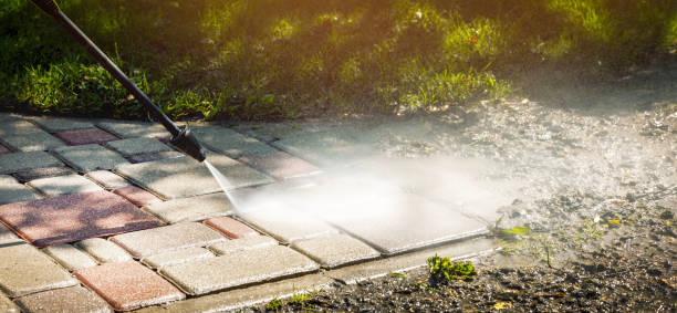 Animal Enclosure Cleaning in Oak Park, IL